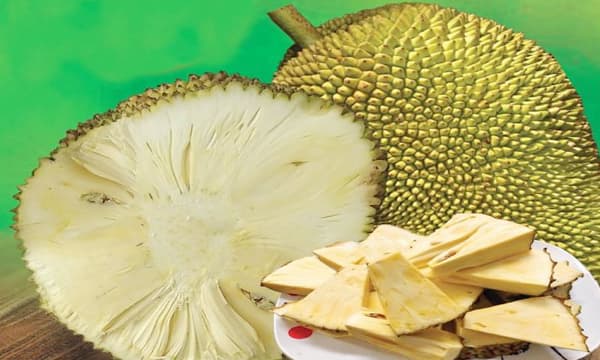പ്ലാവ് പണം തരണമെങ്കില്‍