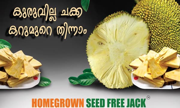 പ്ലാവ് പണം തരണമെങ്കില്‍