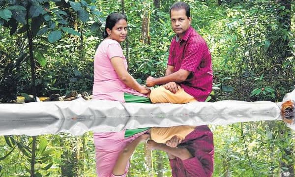 30 ഫലവൃക്ഷങ്ങള്‍, പച്ചക്കറി, ഔഷധച്ചെടികള്‍, തേനീച്ച,...മീന്‍കുളം വരെ ; 25 സെന്റ് ഭൂമി ഏദന്‍തോട്ടമാക്കി മാറ്റിയ കല്യാണ ഫോട്ടോഗ്രാഫര്‍ 