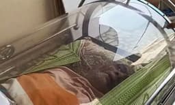 മരണമുറപ്പാക്കാന്‍ വീട്ടുകാര്‍ ഒരുരാത്രി മുഴുവന്‍ മൊെബെല്‍ മോര്‍ച്ചറിയില്‍ കിടത്തി; വയോധികന്‍ അത്ഭുതകരമായി രക്ഷപ്പെട്ടു ; ജീവനുണ്ടെന്ന് അറിഞ്ഞത് ഡ്രൈവര്‍ ഉപകരണം തിരിച്ചു കൊണ്ടുപോകാന്‍  വന്നപ്പോള്‍