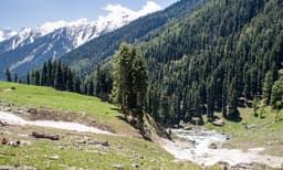 ജമ്മു കശ്മീര്‍ ഉള്‍ക്കൊള്ളിച്ച് പാക്ക് മൊബൈല്‍ ശ്യംഖല, ഇന്ത്യന്‍ വിലക്ക് നേരിടാനും തന്ത്രം