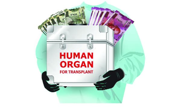 അനധികൃത അവയവക്കച്ചവടം സജീവം, കുട്ടികളടക്കം കാണാതാകുന്ന സംഭവങ്ങള്‍; പഞ്ചനക്ഷത്ര ആശുപത്രികളെയും ചില ഡോക്ടര്‍മാരേയും കേന്ദ്രീകരിച്ച് ക്രൈംബ്രാഞ്ച് അന്വേഷണം വരുന്നു