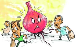 വിലയില്‍ ഉള്ളി 'വല്യ പുള്ളി' തന്നെ, കുറഞ്ഞിട്ടും കുറയ്‌ക്കാതെ സവാളയും