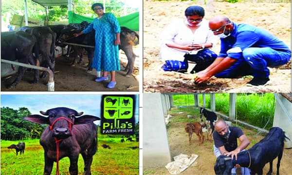 കര്‍ഷക ശ്രീ മഞ്ജുപിള്ള