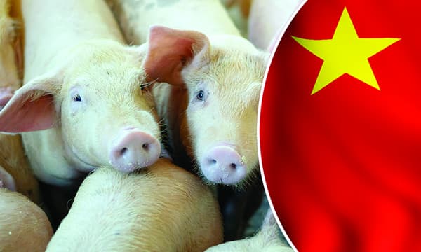 മുസ്ലിങ്ങളെക്കൊണ്ടു പന്നിയിറച്ചി തീറ്റിച്ച് ചൈനയുടെ പീഡനം, വെള്ളിയാഴ്ച നിര്‍ബ്ബന്ധിതമായി വിളമ്പും;  കഴിക്കാന്‍ വിസമ്മതിച്ചാല്‍ ക്രൂരശിക്ഷ, മതനിന്ദ ഉയ്ഗുര്‍ മുസ്ലിങ്ങളുടെ ‘‘പുനര്‍വിദ്യാഭ്യാസ’’ ക്യാമ്പുകളില്‍ 