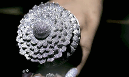 ഗിന്നസ്സ് ബുക്കില്‍ ഇടംനേടി പതിനായിരത്തിലേറെ രത്‌നങ്ങള്‍ക്കൊണ്ട് നിര്‍മ്മിച്ച മോതിരം