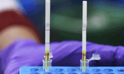 അഞ്ചു മിനിറ്റിനകം കൊവിഡ് കണ്ടെത്താം; പുതിയ പരിശോധന ഇങ്ങനെ