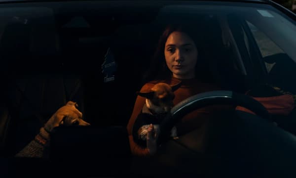 സ്‌കൂളില്‍ ഒപ്പം പഠിക്കുന്ന കൂട്ടുകാരന്‍ ഒരിക്കല്‍ നഗ്നവീഡിയോ ആവശ്യപ്പെട്ടു ; ചെയ്തു കൊടുത്തു, വീണ്ടും വീണ്ടും അവന്‍ ആവശ്യപ്പെട്ടു ; പോണ്‍ഹബ്ബില്‍ വന്ന ഒരു വീഡിയോ 14 കാരിയുടെ ജീവിതം മാറ്റിമറിച്ചു...!!