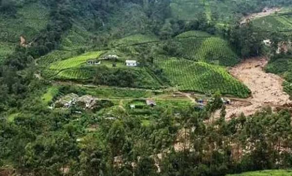 ഇടുക്കിയിലെ വന്‍ കയ്യേറ്റം ഒഴിപ്പിച്ച് റവന്യൂ വകുപ്പ്; നടപടി കോടതി ഉത്തരവിനെത്തുടര്‍ന്ന്