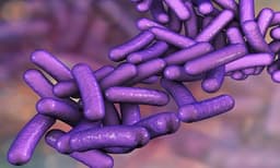 ഷിഗെല്ല വൈറസ് വ്യാപനം വെള്ളത്തിലൂടെയെന്ന് പ്രാഥമിക റിപ്പോര്‍ട്ട് 