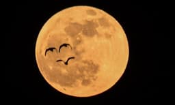 എട്ടാം വിവാഹവാര്‍ഷികത്തില്‍ ഭാര്യയ്ക്ക് ഭര്‍ത്താവിന്റെ സമ്മാനം ; ചന്ദ്രനില്‍ മൂന്ന് ഏക്കര്‍ സ്ഥലം