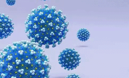 രാജ്യത്ത് അതിതീവ്ര വൈറസ് 58 പേര്‍ക്ക്; കേരളത്തില്‍ 1600 പേര്‍ നിരീക്ഷണത്തില്‍ 