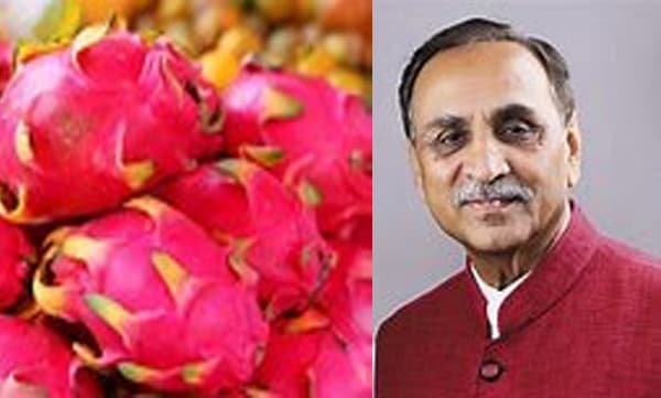 ഇനിമുതല്‍ ഡ്രാഗണ്‍ ഫ്രൂട്ടല്ല, 'കമലം'; പുതിയ പേരുമായി ഗുജറാത്ത് സര്‍ക്കാര്‍ 