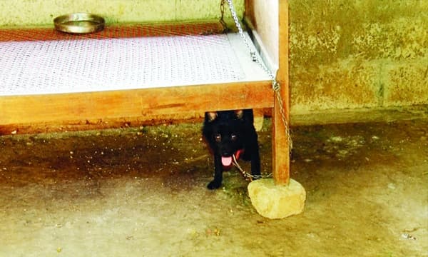 കണ്ണു തുറപ്പിക്കുമോ, ഈ കാഴ്ചകള്...? ക്രൂരത വൃദ്ധമാതാപിതാക്കളോട്! ആഴ്ചകളോളം പൂട്ടിയിട്ടു, വൃദ്ധന് പട്ടിണികിടന്നു മരിച്ചു