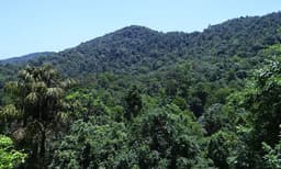 മേഘാലയയില്‍ വനത്തിനുള്ളിലെ കുഴിയില്‍ പതിച്ച് ആറ് കുടിയേറ്റ തൊഴിലാളികള്‍ക്ക് ദാരുണാന്ത്യം