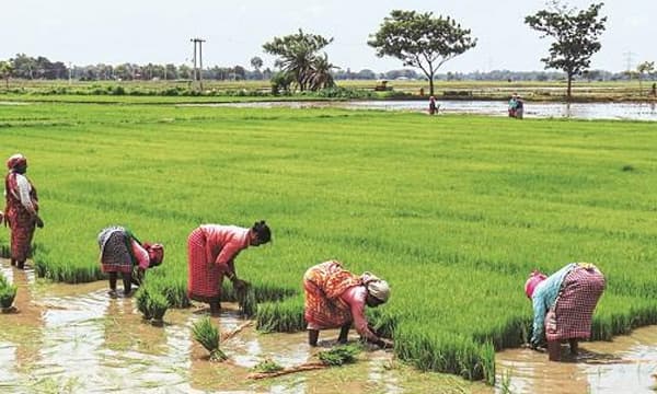 ബാങ്കുകള്‍ക്ക് 20,000 കോടി സഹായം ; കാര്‍ഷകര്‍ക്ക് താങ്ങുവില ഉറപ്പാക്കും ; 75,060 കോടിയുടെ പാക്കേജ്