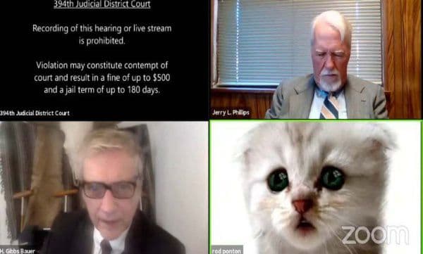 സൂം ആപ്പ് ചതിച്ചു... വക്കീൽ വാദിക്കാനെത്തിയത് ‘പൂച്ചയായി ’... അനുമതി നൽകി ജഡ്ജി