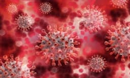 Africa's COVID-19 cases near 3.8 million