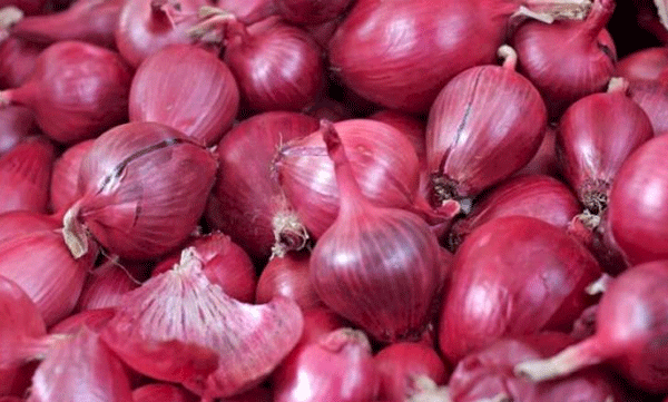 റോക്കറ്റ് വേഗത്തില്‍ ഉള്ളി വില; ക്വിന്റലിന് 970 രൂപയില്‍നിന്ന് 4500ലേക്ക് 
