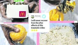 മക്ഡൊണാൾഡ്സിന്റെ ചിക്കൻ ബർഗർ ഐസ്ക്രീം...!