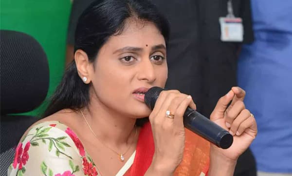 'തെലുങ്കാനയുടെ മരുമകള്‍ 'തിരഞ്ഞെടുപ്പ് ഗോദയിലേക്ക്; പാര്‍ട്ടി രൂപികരണം ഉറപ്പാക്കി ശര്‍മ്മിള
