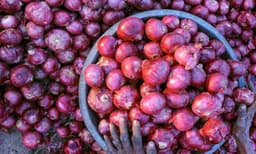 വില കുറച്ച് സവാള നൽകാമെന്ന് പറഞ്ഞു ലക്ഷങ്ങൾ തട്ടിയ യുവാവ് പൂനെയിൽ അറസ്റ്റിൽ 