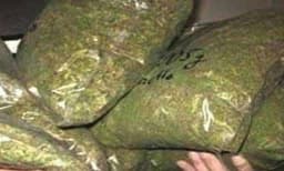 New York Legalizes Recreational Marijuana