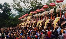 പൂരം കാണണോ ? വാക്‌സിനേഷന്‍ സര്‍ട്ടിഫിക്കറ്റ്‌ വേണം, കുട്ടികള്‍ക്ക് പ്രവേശനം ഇല്ല, മൈതാനത്തേക്കു കടക്കാന്‍ 19 ചെക്‌പോയിന്റുകള്‍; തൃശൂര്‍ പൂരം ആചാരാനുസരണം 