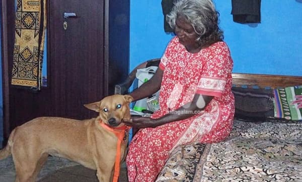 വീട്ടില്‍ തിരിച്ചെത്തിയ കുവി പളനിയമ്മയോടൊപ്പം