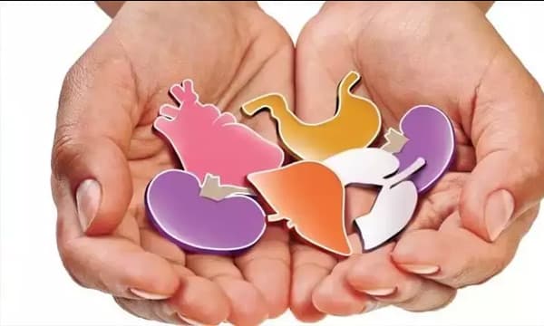 10 ലക്ഷം രൂപയ്ക്ക് കരള്‍ ദാനം ചെയ്യണം ; ഏജന്റുമാര്‍ പ്രലോഭനവുമായി ആദിവാസി യുവാവിനെ പിന്നാല ; എതിര്‍ത്ത് കുടുംബാംഗങ്ങള്‍