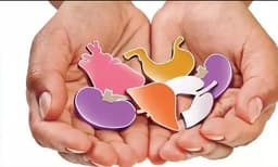 10 ലക്ഷം രൂപയ്ക്ക് കരള്‍ ദാനം ചെയ്യണം ; ഏജന്റുമാര്‍ പ്രലോഭനവുമായി ആദിവാസി യുവാവിനെ പിന്നാല ; എതിര്‍ത്ത് കുടുംബാംഗങ്ങള്‍