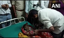 90 അടി താഴ്ചയിൽ വീണ നാലു വയസ്സുകാരനെ രക്ഷപെടുത്തി 