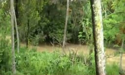 
കനത്ത മഴ: കരമനയാറും കിള്ളിയാറും കരകവിഞ്ഞു; കൊല്ലത്ത് കപ്പലുകള്‍ തുറമുഖത്ത് അടുപ്പിച്ചു