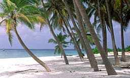 അഡ്മിനിസ്ട്രേറ്ററുടെ ഫോണിലേക്ക് വാട്സ് ആപ്പ് സന്ദേശം ; ലക്ഷദ്വീപില്‍ മൂന്ന് കുട്ടികള്‍ ഉള്‍പ്പെടെ നാലുപേരെ കസ്റ്റഡിയിലെടുത്തു