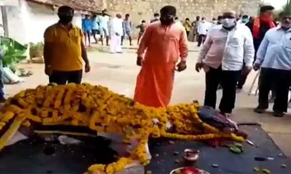കര്‍ണാടകയിലെ ‘അത്ഭുതകുതിര’ ചത്തു ; സംസ്ക്കാരത്തില്‍ പങ്കെടുത്തത് 500 പേര്‍ ; ​‍ഗ്രാമം രണ്ടാഴ്ച അടച്ചു, എല്ലാവര്‍ക്കും കോവിഡ് പരിശോധന