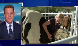 പശുക്കളെ ആലിംഗനം ചെയ്ത് ഭയവും ഏകാന്തതയും കുറയ്ക്കുന്നവർ; വിഡിയോ വൈറൽ 