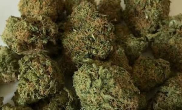 വാറ്റുകേന്ദ്രത്തിൽ നിന്ന് ചാരായം വാറ്റും കള്ളനോട്ടും ; പ്രതിയുടെ വീട്ടിൽ എയർഗണ്ണും കഞ്ചാവും ഒളിപ്പിച്ച നിലയിൽ 