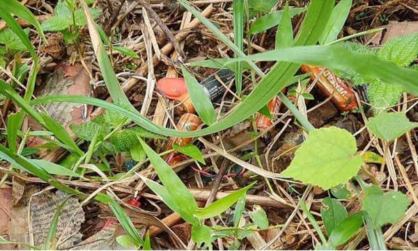 പത്തനാപുരത്തെ ജലാറ്റിന്‍ സ്റ്റിക്കുകള്‍ വന്നത് തമിഴ്നാട്ടില്‍ നിന്നും ; ബോംബ് നിര്‍മ്മാണ പരിശീലനത്തിന് കൊണ്ടുവന്നതെന്ന് സംശയം