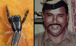 മഹാരാഷ്ട്രയില്‍ കണ്ടെത്തിയ പുതിയ ചിലന്തിയ്ക്ക് പേര് ‘എസിയസ് തുക്കാറാമി’ ; നല്‍കിയത് കസബിനെ പിടികൂടിയ പോലീസുകാരന്റെ പേര് 