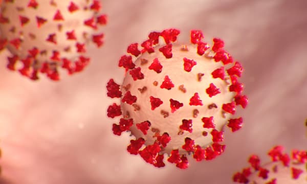 സ്വന്തമായി വീട് പോലും ഇല്ല, കോവിഡില്‍ പിതാവിനെയും നഷ്ടമായി ;  നാലു പെണ്‍കുട്ടികളെയും അമ്മയെയും ദത്തെടുത്ത് സ്കൂളിലെ അദ്ധ്യാപകര്‍