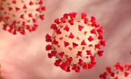 സ്വന്തമായി വീട് പോലും ഇല്ല, കോവിഡില്‍ പിതാവിനെയും നഷ്ടമായി ;  നാലു പെണ്‍കുട്ടികളെയും അമ്മയെയും ദത്തെടുത്ത് സ്കൂളിലെ അദ്ധ്യാപകര്‍