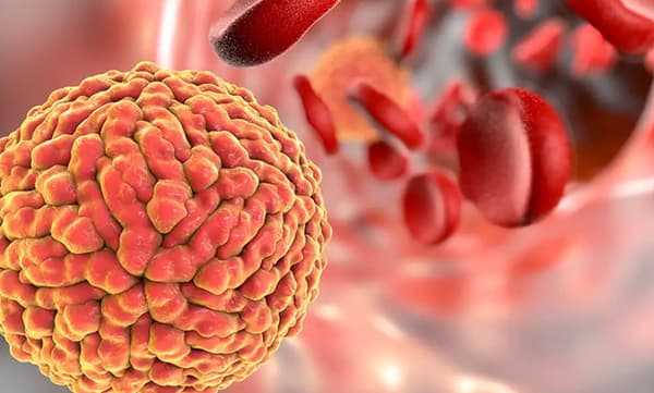 സിക്ക വൈറസ് ; കേരളത്തിന് എല്ലാവിധ സഹായവും നല്‍കും ; കേന്ദ്ര ആരോഗ്യമന്ത്രാലയം