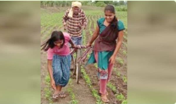 കാളകളെ വാങ്ങാൻ പണമില്ല; പെൺമക്കളുടെ സഹായത്തോടെ  നിലമുഴുത് കർഷകൻ