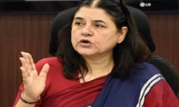 തെരുവ് നായയോട് ക്രൂരത ; വീഡിയോ പുറത്തു വന്നതിനു പിന്നാലെ സ‍ഞ്ജയ് ഗാന്ധി ആനിമൽ കെയർ സെന്റർ അടച്ചു