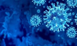 വൈറസിന്റെ വിവിധ വകഭേദങ്ങൾ കേരളത്തിലെ സ്ഥിതി വഷളാക്കുന്നുവെന്ന് പഠനം 