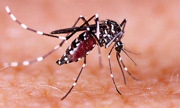 സംസ്ഥാനത്ത് ഒരാള്‍ക്ക് കൂടി സിക വൈറസ് സ്ഥിരീകരിച്ചു