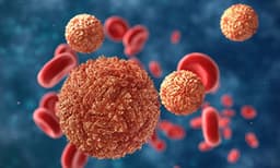 സംസ്ഥാനത്ത് രണ്ട് പേര്‍ക്ക് കൂട് സിക്ക വൈറസ് സ്ഥിരീകരിച്ചു