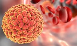 സംസ്ഥാനത്ത് രണ്ട് പേര്‍ക്ക് കൂടി സിക്ക വൈറസ് സ്ഥിരീകരിച്ചു