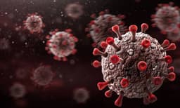 Wuhan to Test 'All Residents' as Virus Makes Comeback