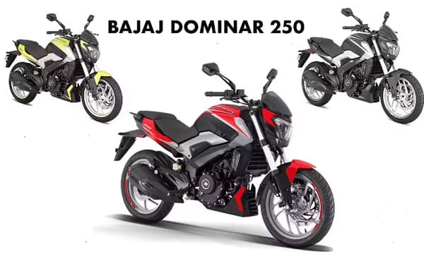 ഡൊമിനാര്‍ 250 ഡ്യുവല്‍ ടോണ്‍ പതിപ്പുകളെ അവതരിപ്പിച്ച് ബജാജ് 
